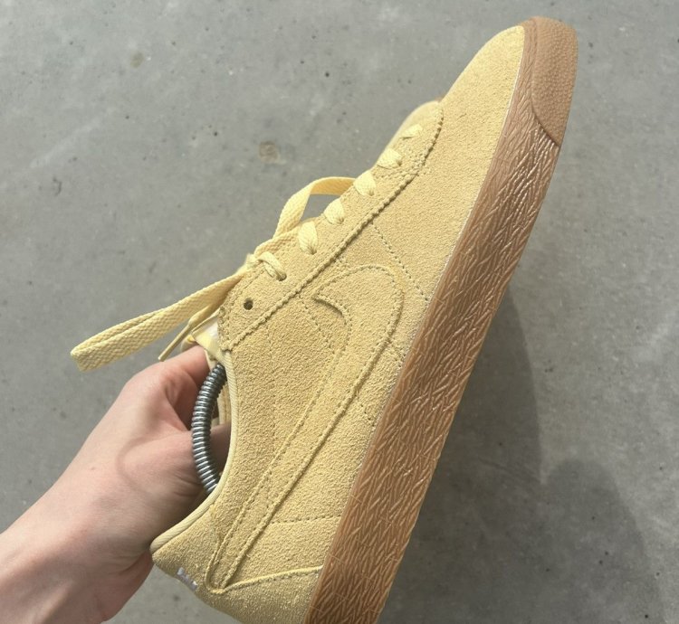 Rare Nike Sb Blazer Low Sneakers
