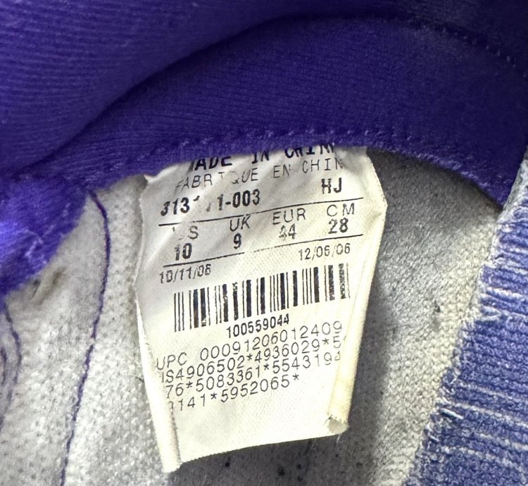 Rare Nike Sb Dunk High Dinosaur Jr