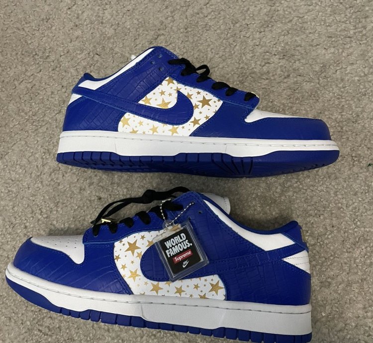 Supreme Nike Sb Dunk Low Blue