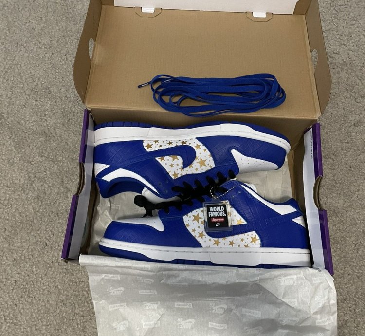 Supreme Nike Sb Dunk Low Blue