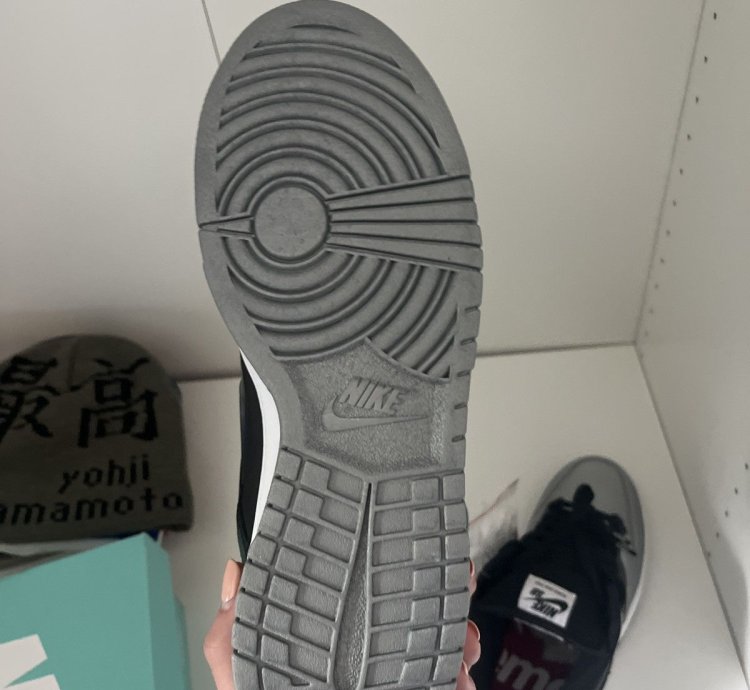 Supreme Nike Sb Dunk Low Jewel Swoosh Silver
