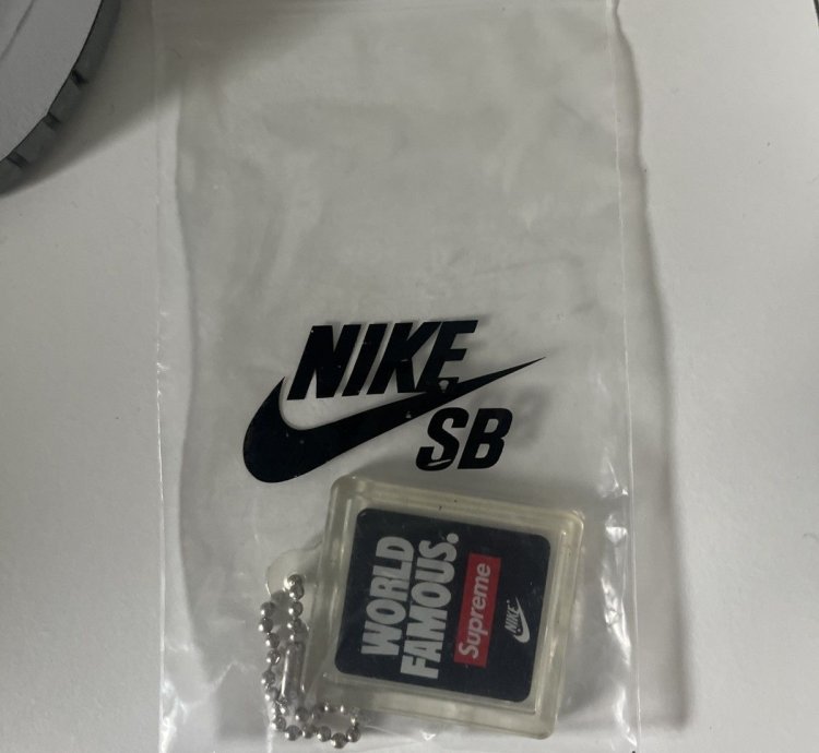 Supreme Nike Sb Dunk Low Jewel Swoosh Silver