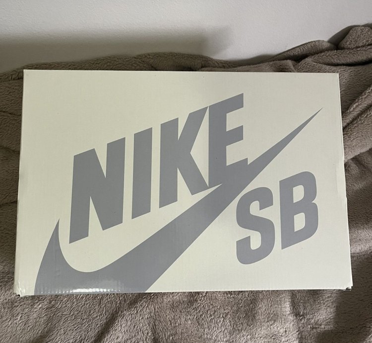 Supreme Nike Sb Dunk Low Rammellzee 9 5