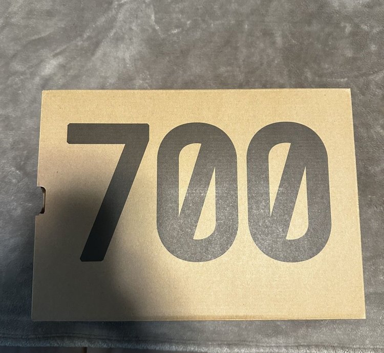 Adidas Yeezy 700 Boost - Salt