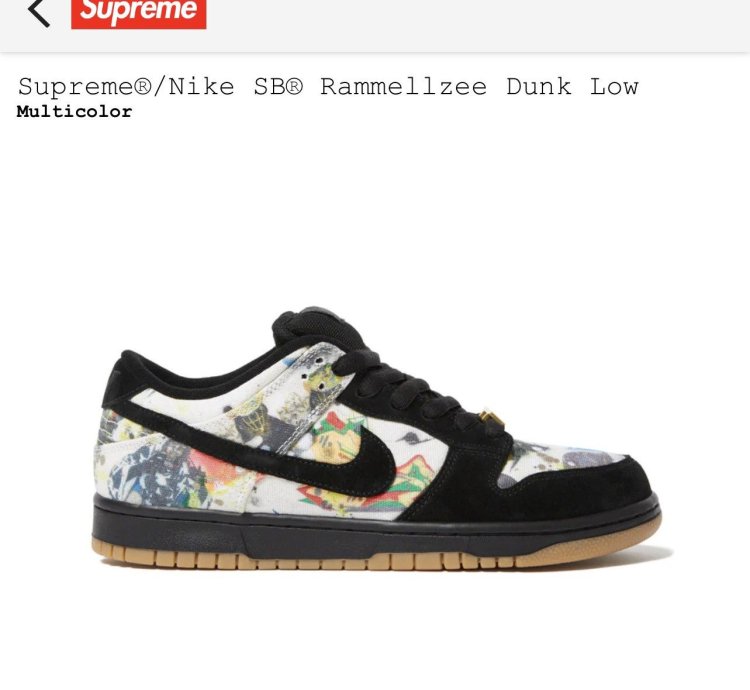 Supreme Nike Sb Rammellzee Dunk Low Size 12 Multicolor