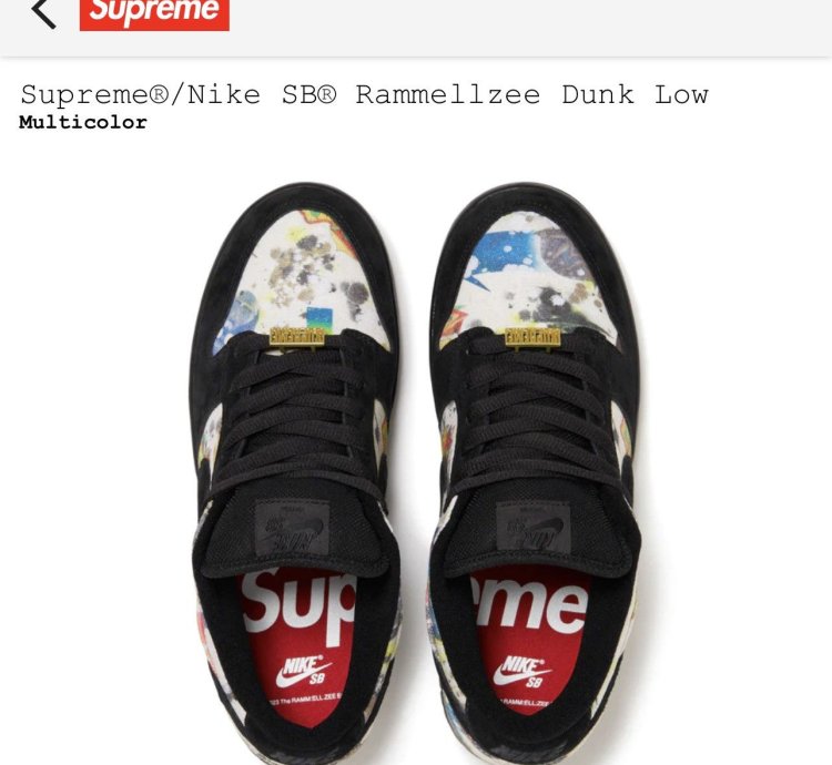 Supreme Nike Sb Rammellzee Dunk Low Size 12 Multicolor