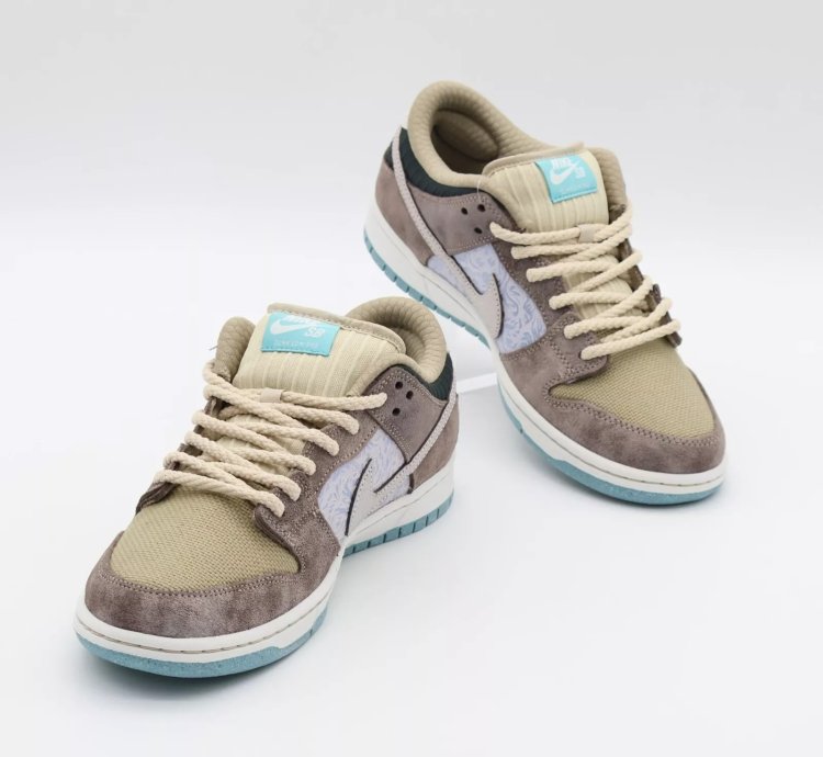 Fz3129-200 Nike Sb Dunk Low Pro Big Money Savings Brown White Grey Aqua