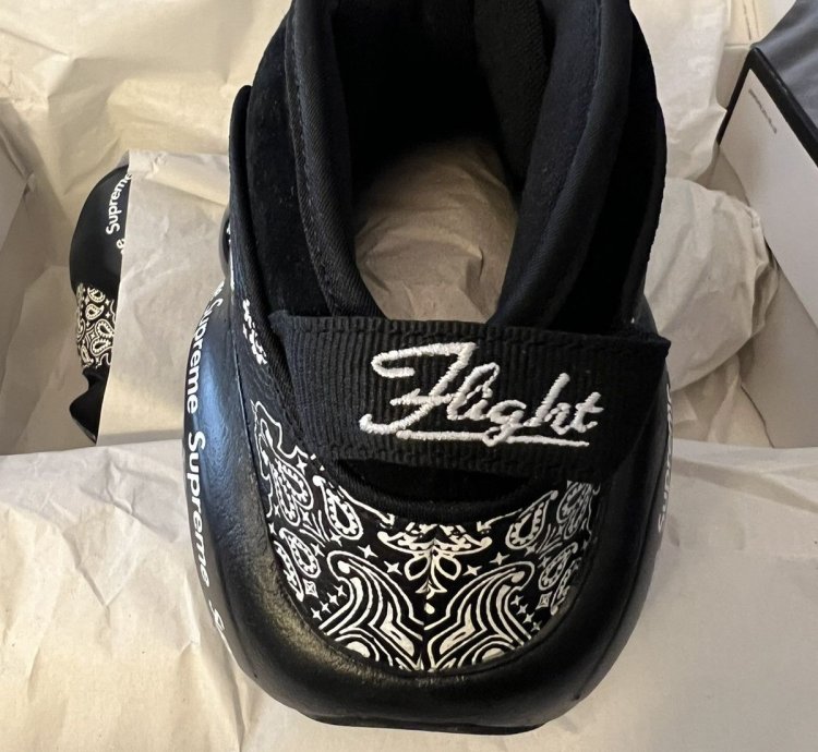 Supreme Nike Zoom Air Flight 95