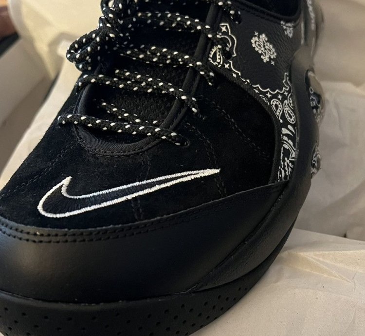 Supreme Nike Zoom Air Flight 95
