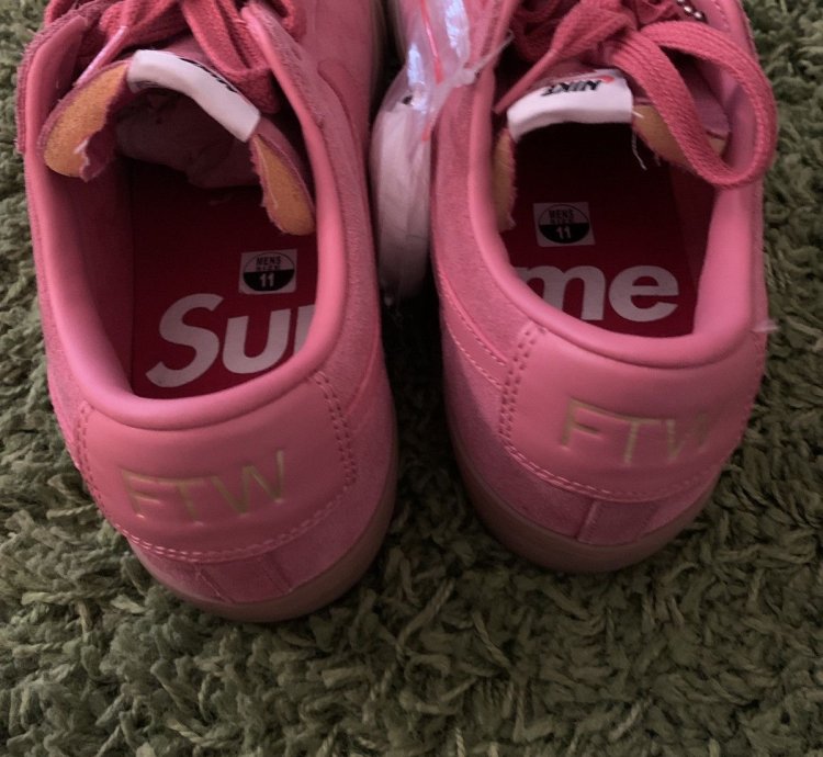 Supreme Sb Blazer Low Gt Desert Bloom 2016