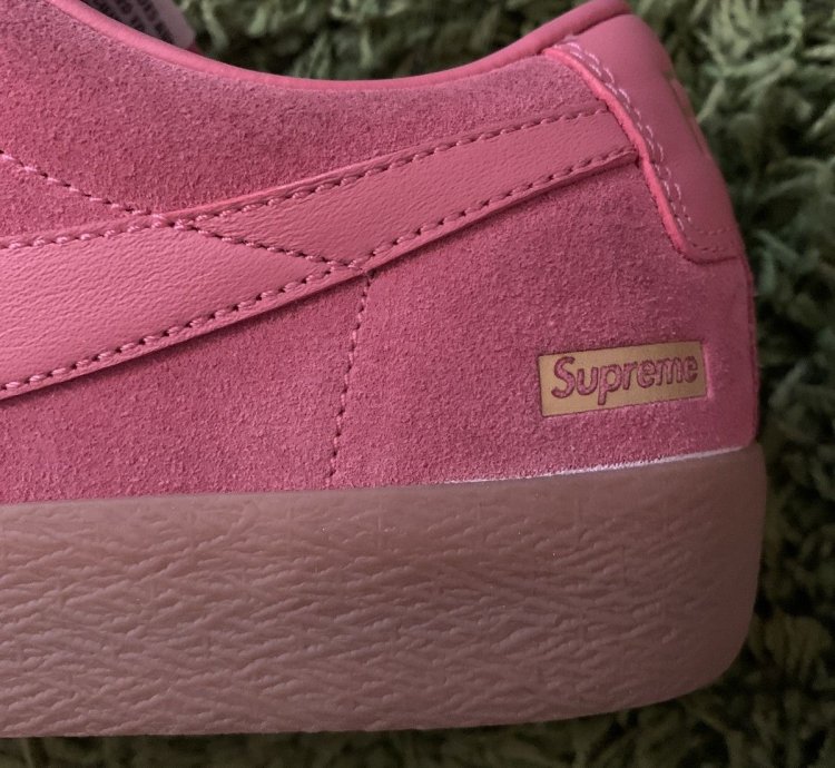Supreme Sb Blazer Low Gt Desert Bloom 2016