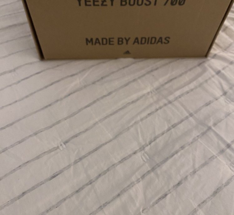Adidas Yeezy Boost 700 Salt Brand New
