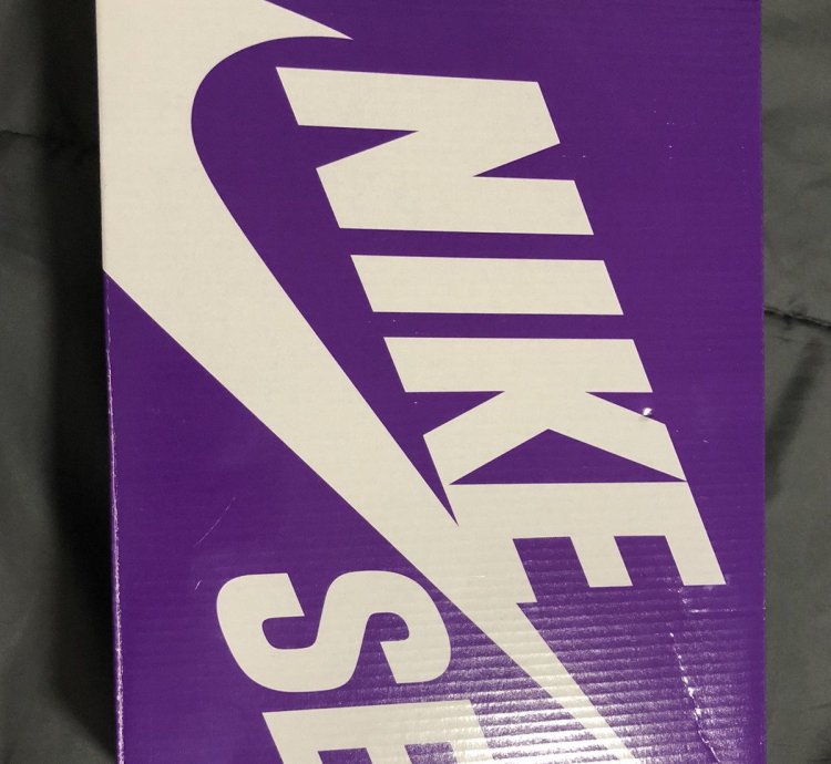 Supreme Sb Dunk High By Any Means