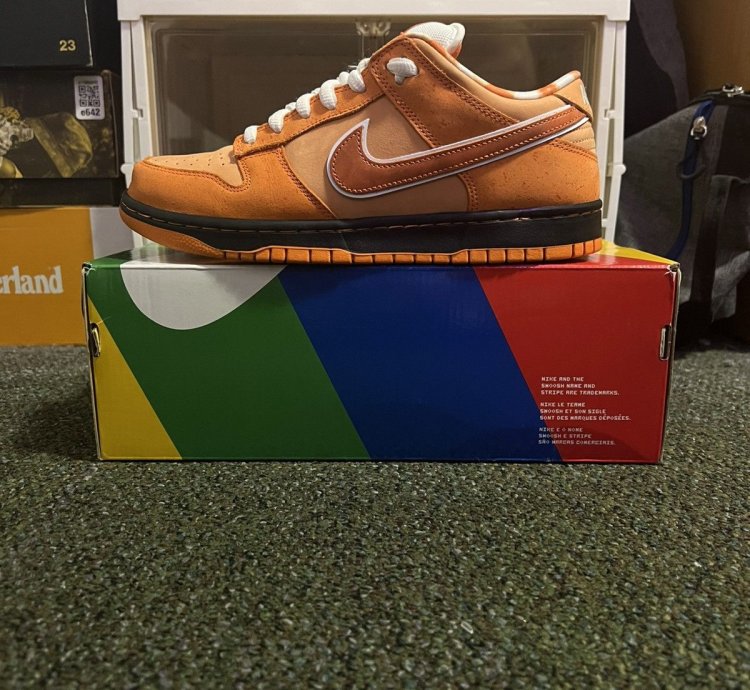 Size 10 - Nike Sb Dunk Concepts Orange Lobster Dunk