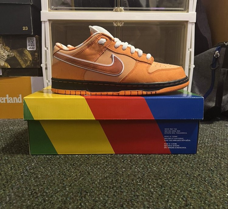 Size 10 - Nike Sb Dunk Concepts Orange Lobster Dunk