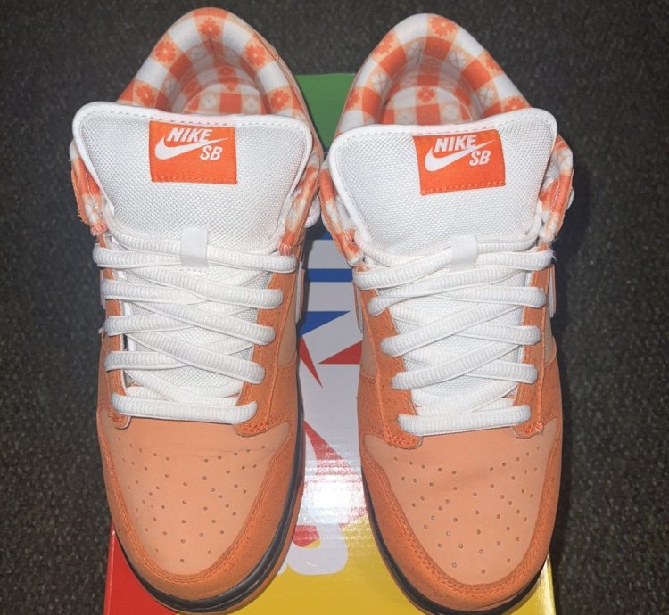 Size 10 - Nike Sb Dunk Concepts Orange Lobster Dunk