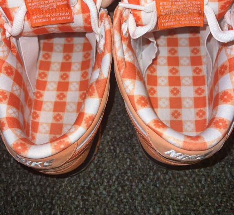 Size 10 - Nike Sb Dunk Concepts Orange Lobster Dunk