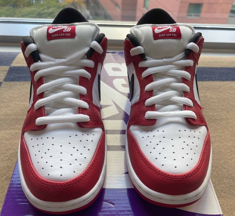Size 10 - Nike Sb Dunk Low -pack Chicago Red Black