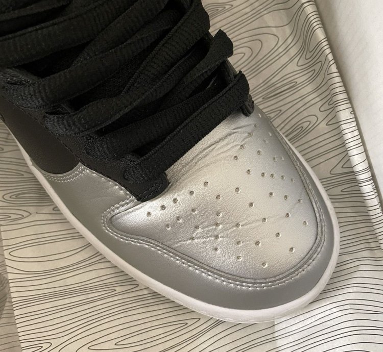 Supreme Sb Dunk Low Metallic Silver Jewel 8