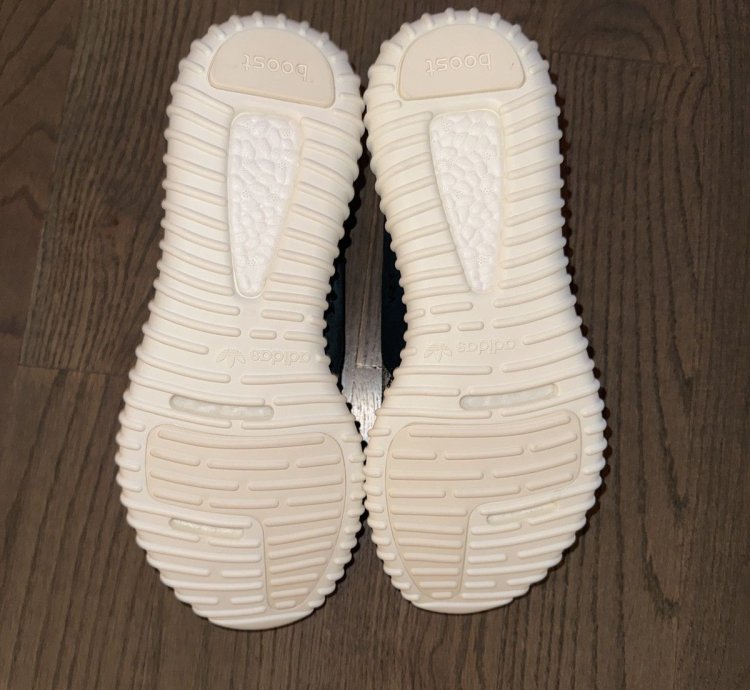 Brand New Yeezy 350 Turtle Dove Size 12