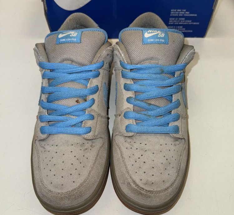 Size 11 - Nike Sb Dunk Low Pro Iron Low - 304292-022