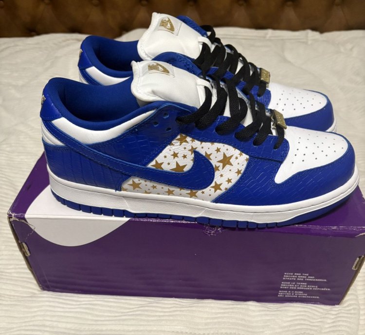 Supreme Nike Sb Dunk