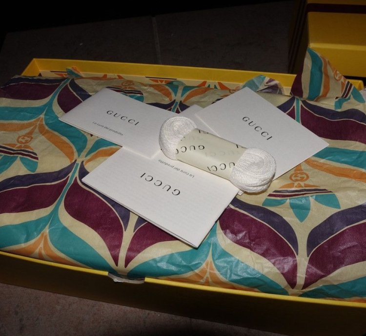Gucci Adidas Gazelle