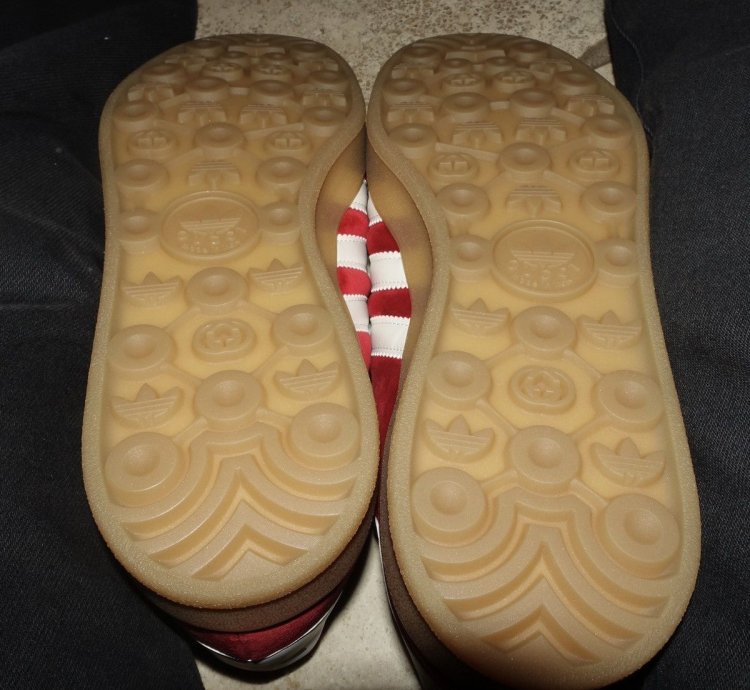 Gucci Adidas Gazelle
