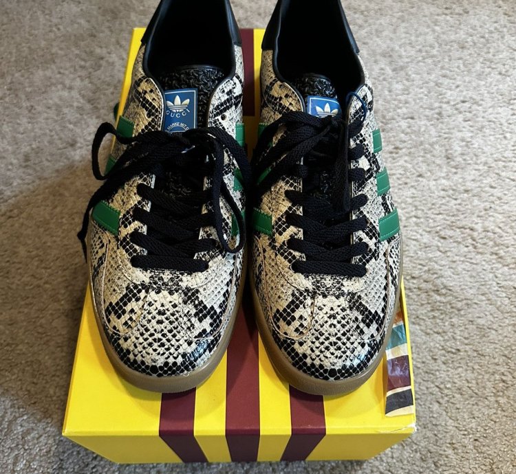 Gucci Adidas Gazelle Python