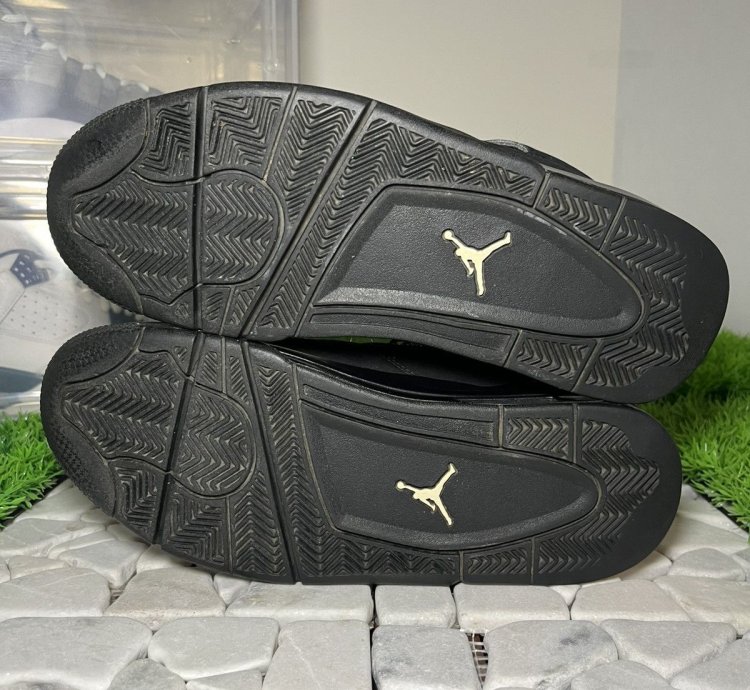 Air Jordan 4 Black Cat