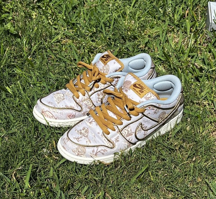 The Nike Sb Dunk Low City Of Style