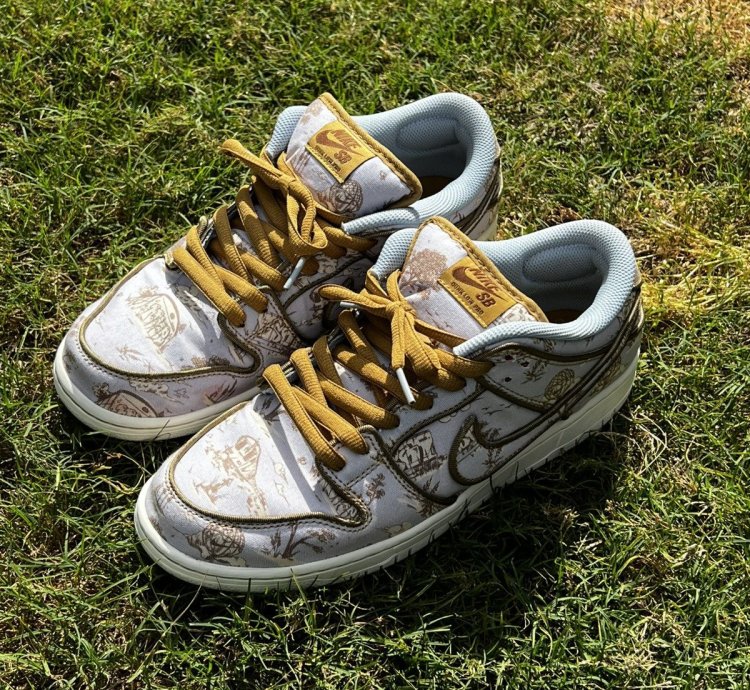 The Nike Sb Dunk Low City Of Style