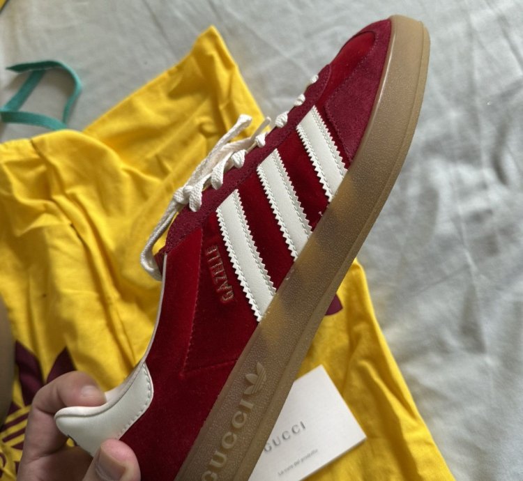 Gucci Adidas Samba