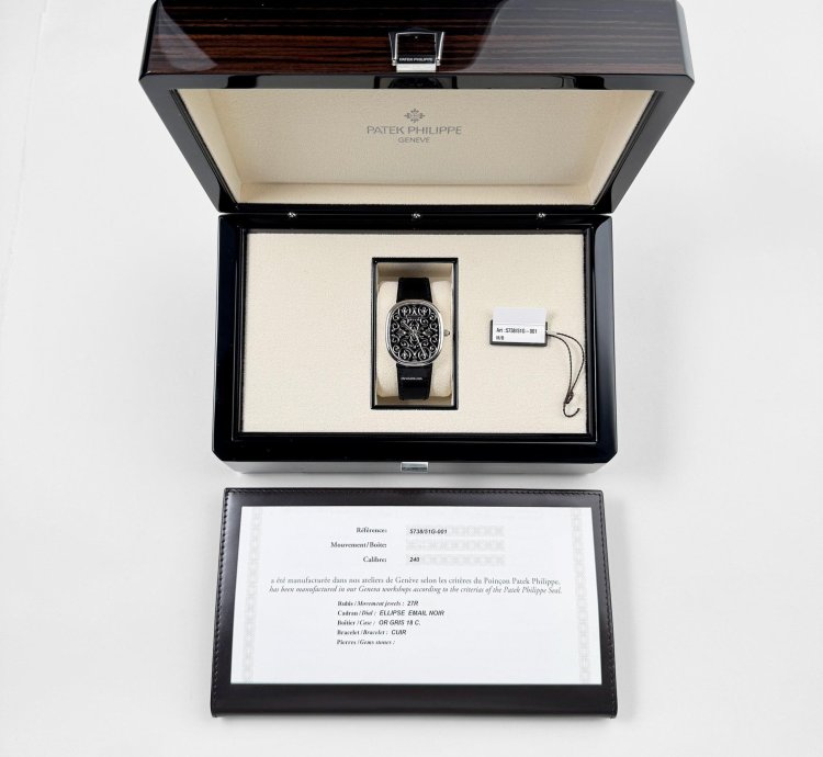 Patek Philippe Golden Ellipse 5738 51g-001 White Gold Engraved Dial 2023