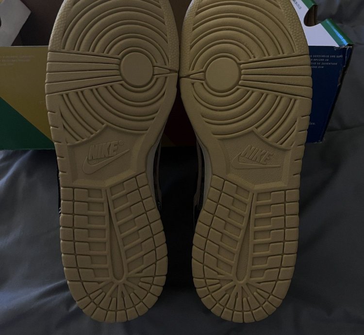 Travis Scott Nike Sb Dunk Low Brand New