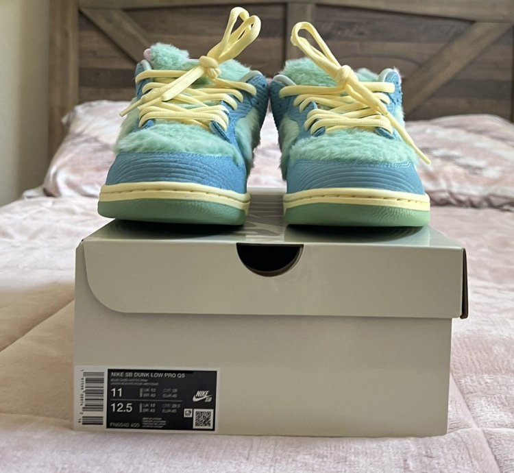 Verdy Sb Dunk Low Visty