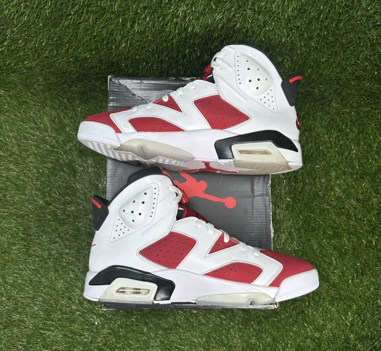 Air Jordan 6 Carmine 2021