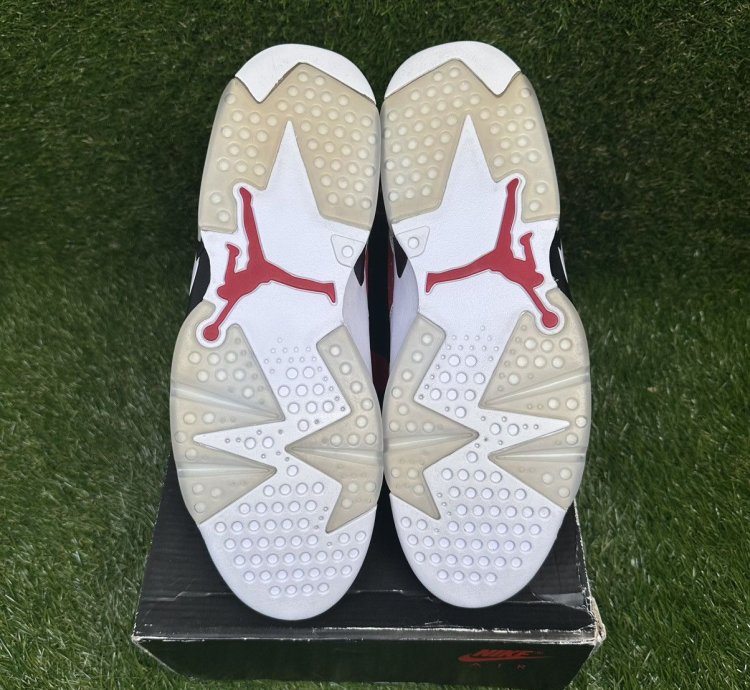 Air Jordan 6 Carmine 2021