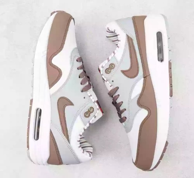 Nike Air Max 1 Premium shima Shima Iii