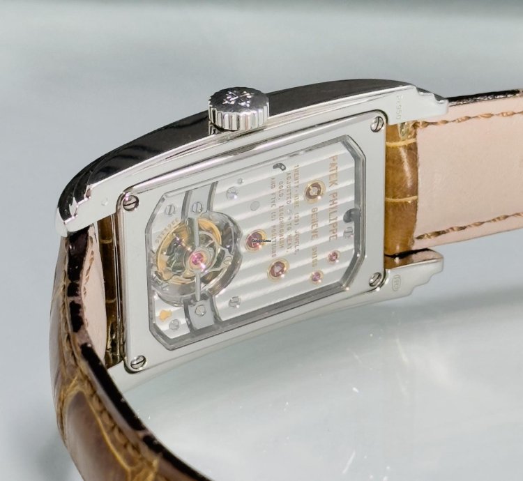 Patek Philippe Grand Complications 10-day Tourbillon 5101p-010