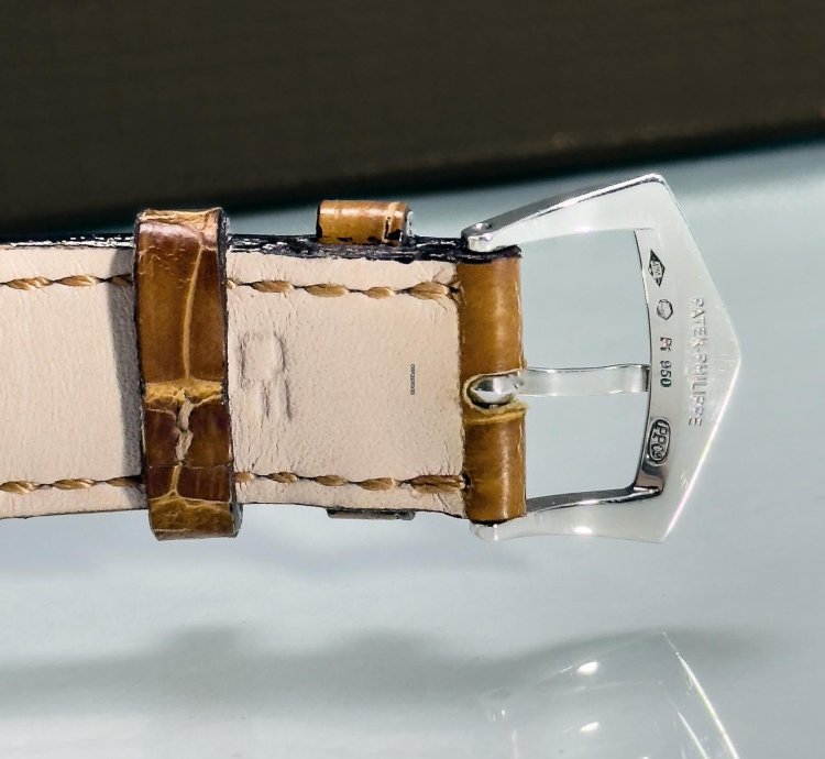Patek Philippe Grand Complications 10-day Tourbillon 5101p-010