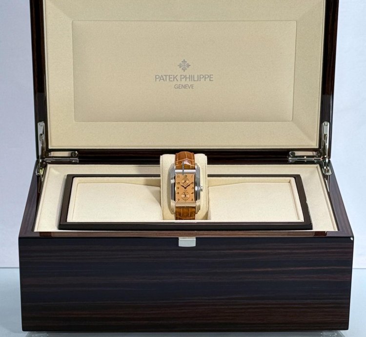 Patek Philippe Grand Complications 10-day Tourbillon 5101p-010