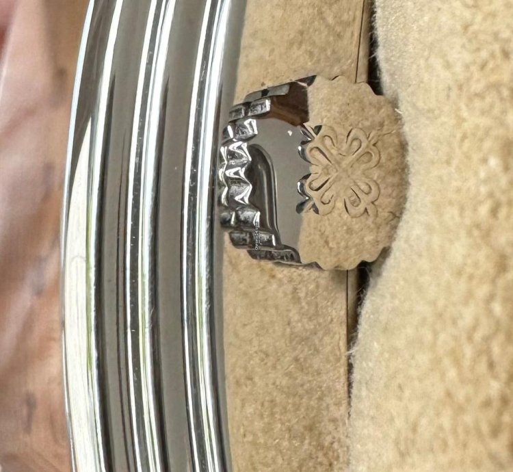Patek Philippe Grand Complications 5101p-010