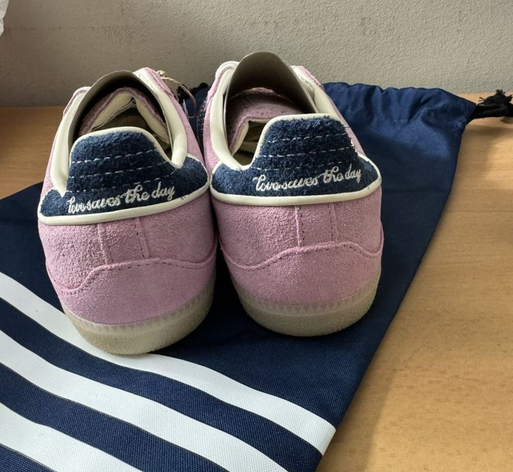 Notitle Pink Samba