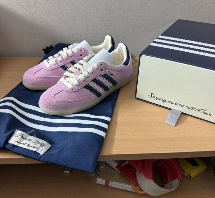 Notitle Pink Samba