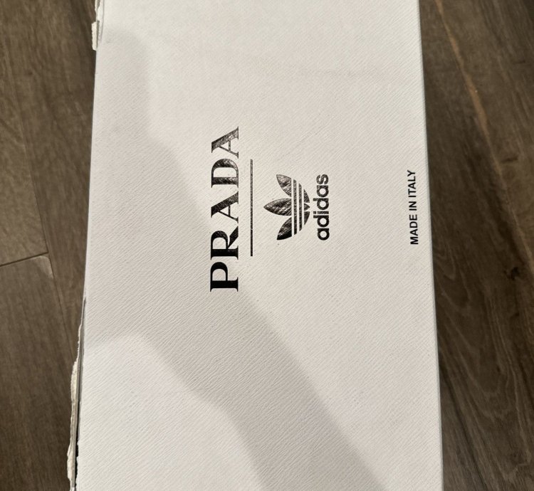 Prada Adidas Superstar