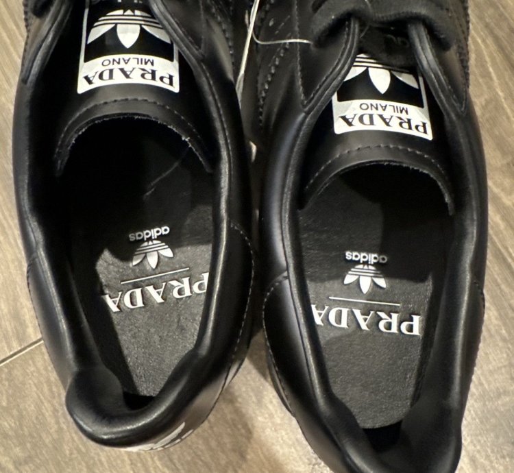Prada Adidas Superstar
