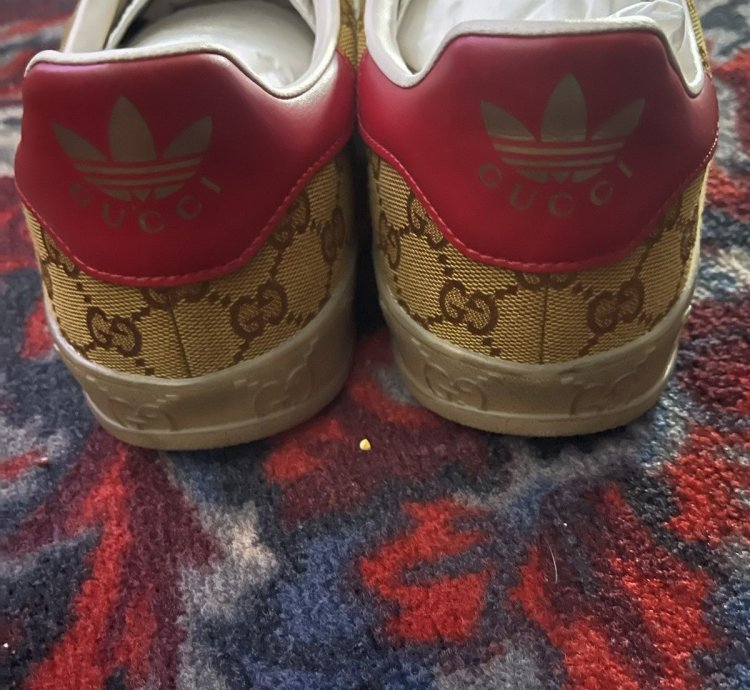 Rare Gucci Adidas Gazelle