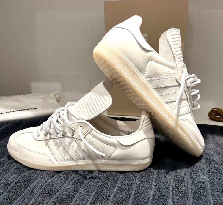 Size 8 5 Pharrell Humanrace Adidas Samba Og In Cloud White
