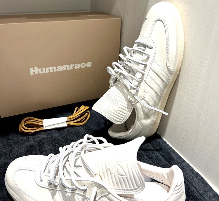 Size 8 5 Pharrell Humanrace Adidas Samba Og In Cloud White